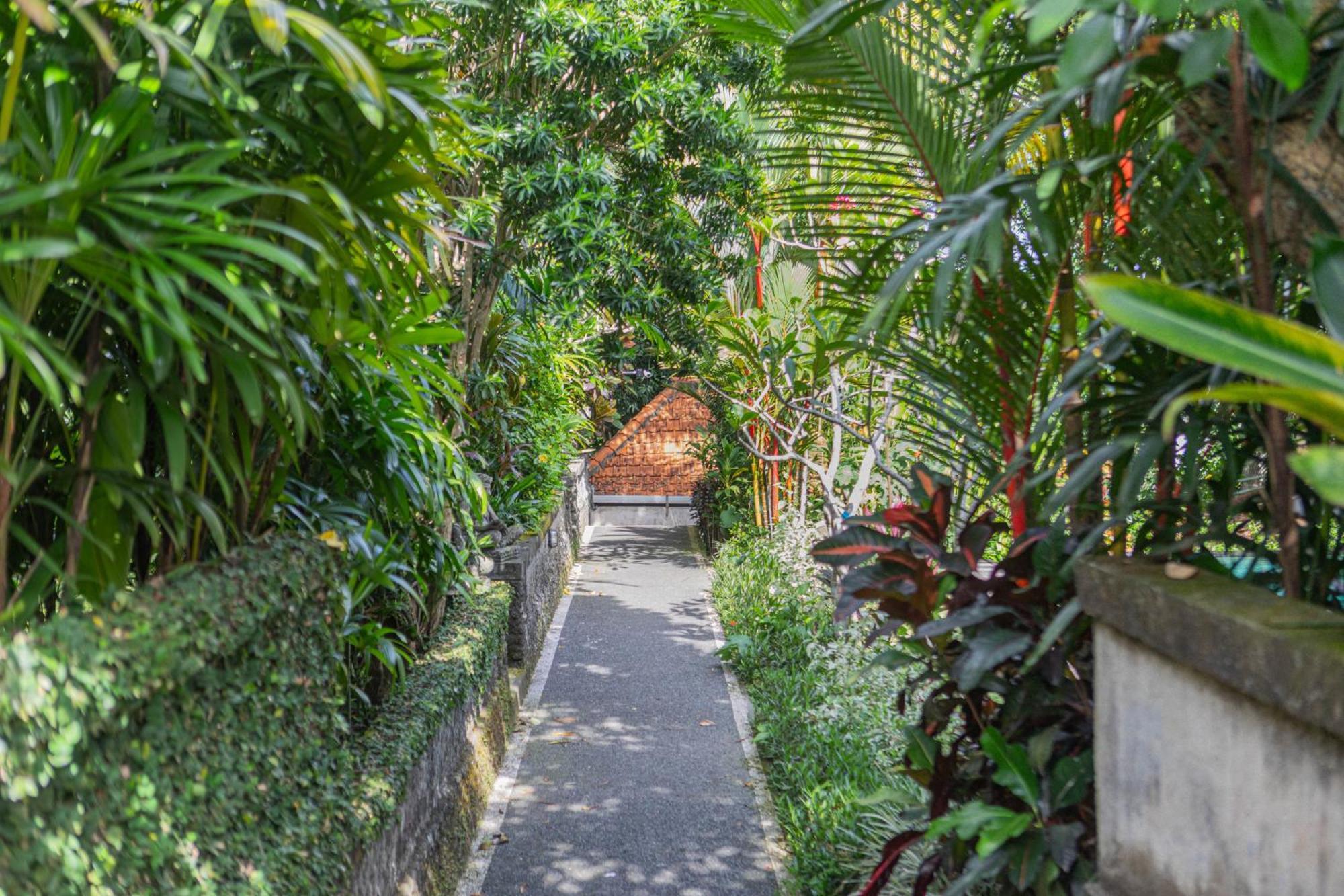 Sari Bamboo Villas Ubud Exteriér fotografie